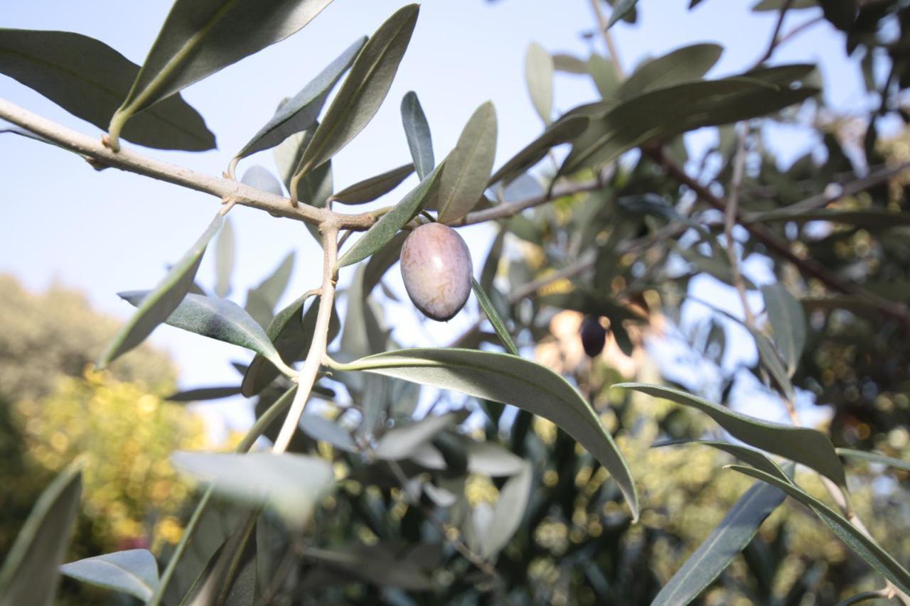 מילאנו Hotel Astrid מראה חיצוני תמונה